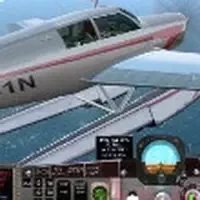 Free Flight Sim